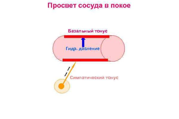 Омг онион ссылка